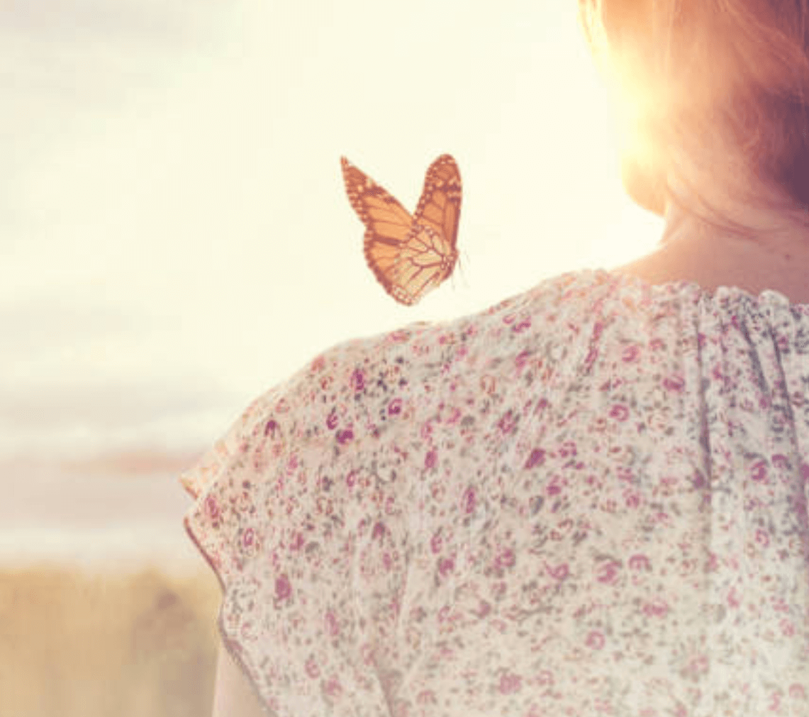 Der Körper als Resonanzraum – Schmetterling – Dr. Pullig Blog