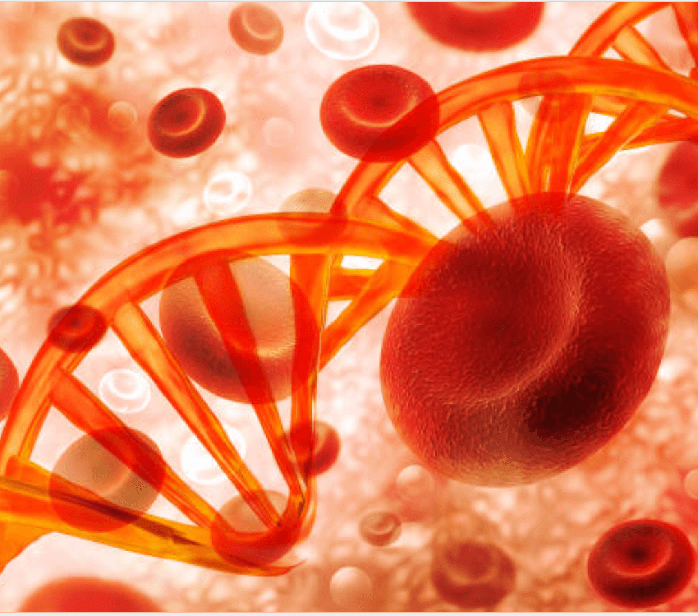Biomarker verstehen – Dr. Pullig Blog