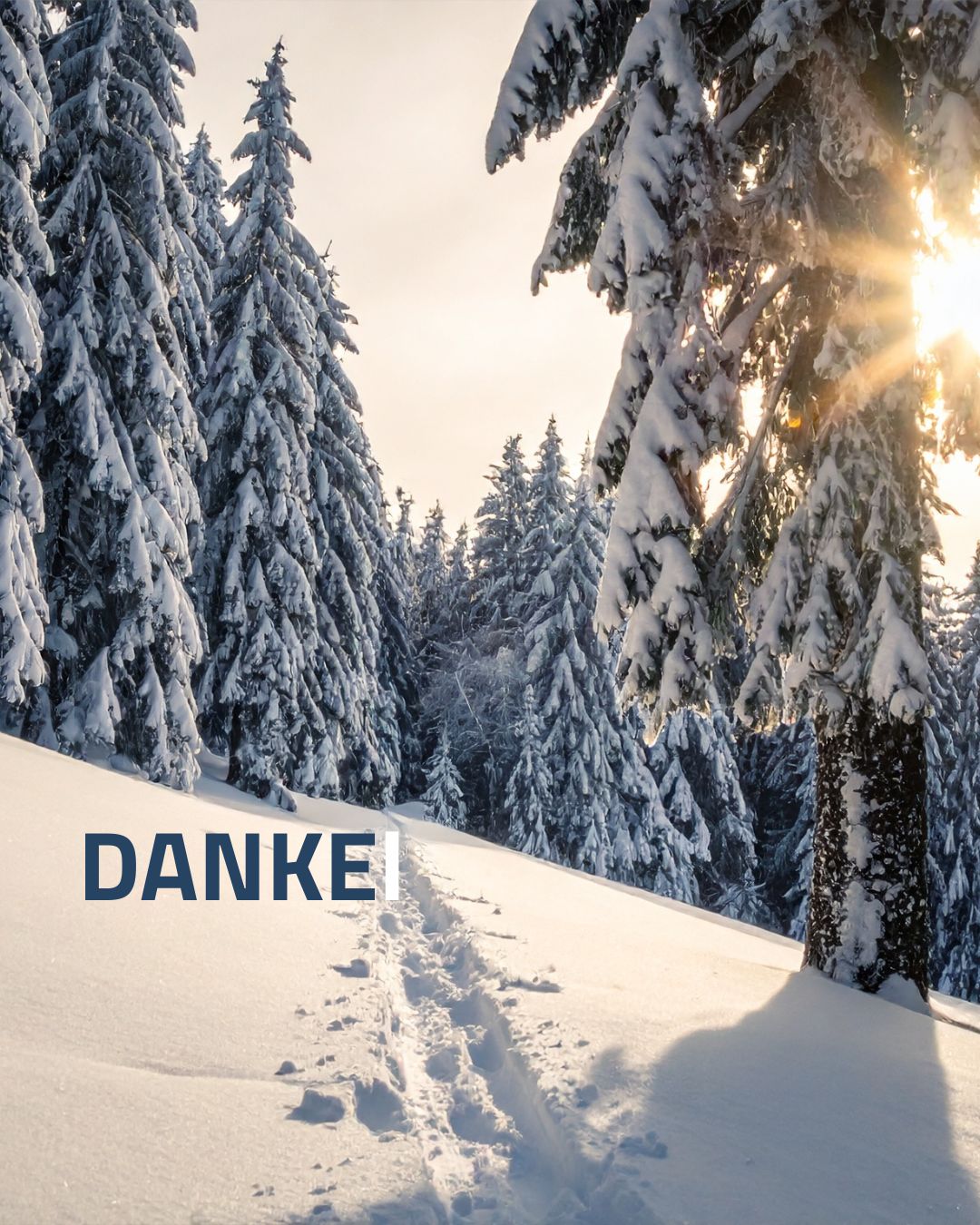 Das Jahr ausklingen lassen – Reflexion – Dr. Pullig Blog