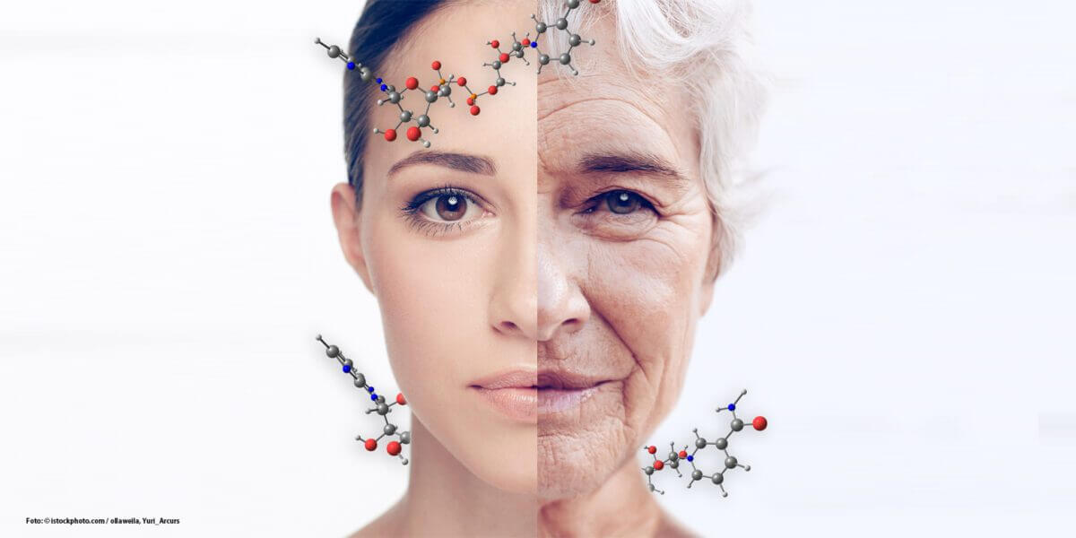 Longevity – Die Kunst des bewussten Alterns – Dr. Pullig Blog