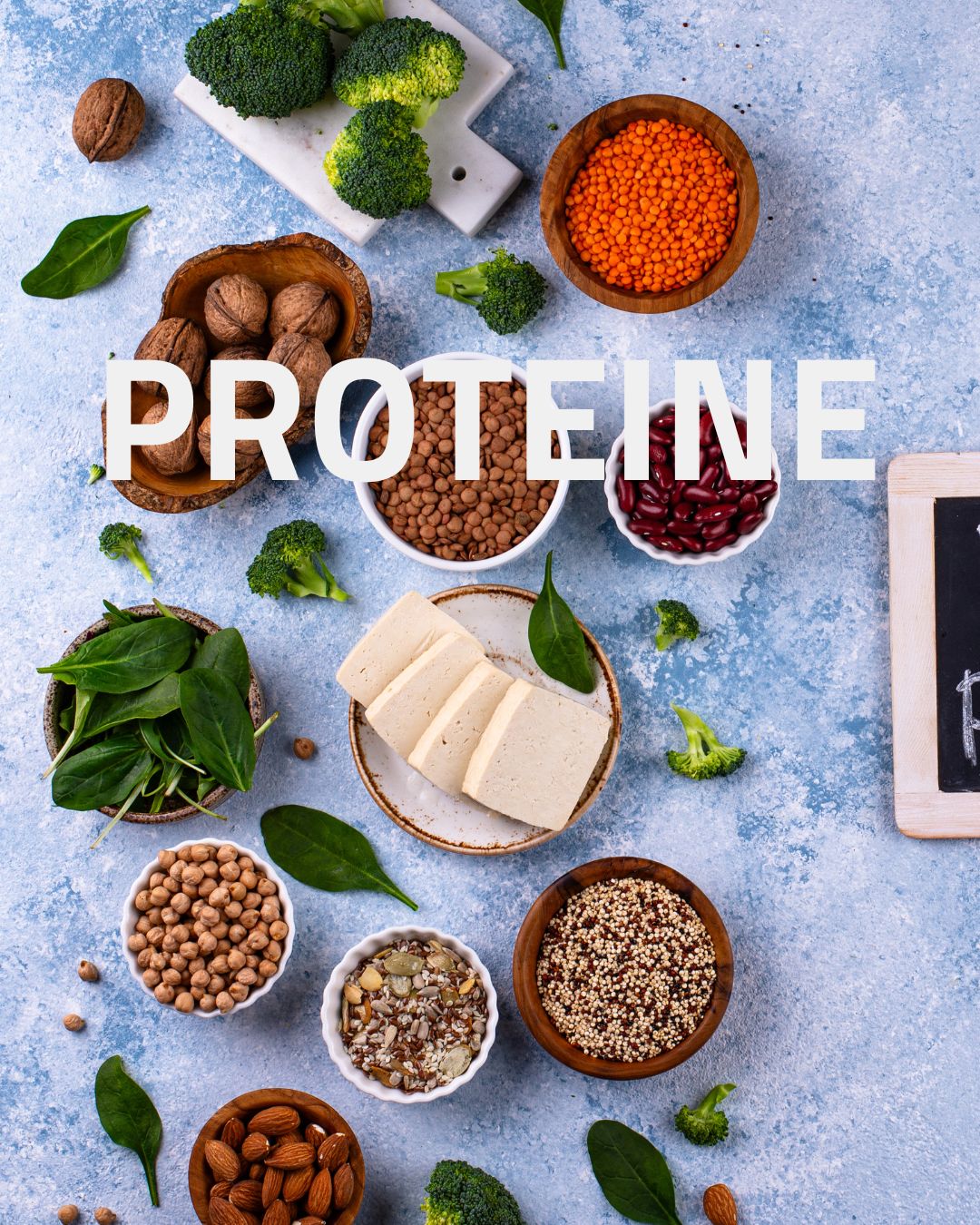 Protein und Ernährung – Die Basis – Dr. Carmen Pullig