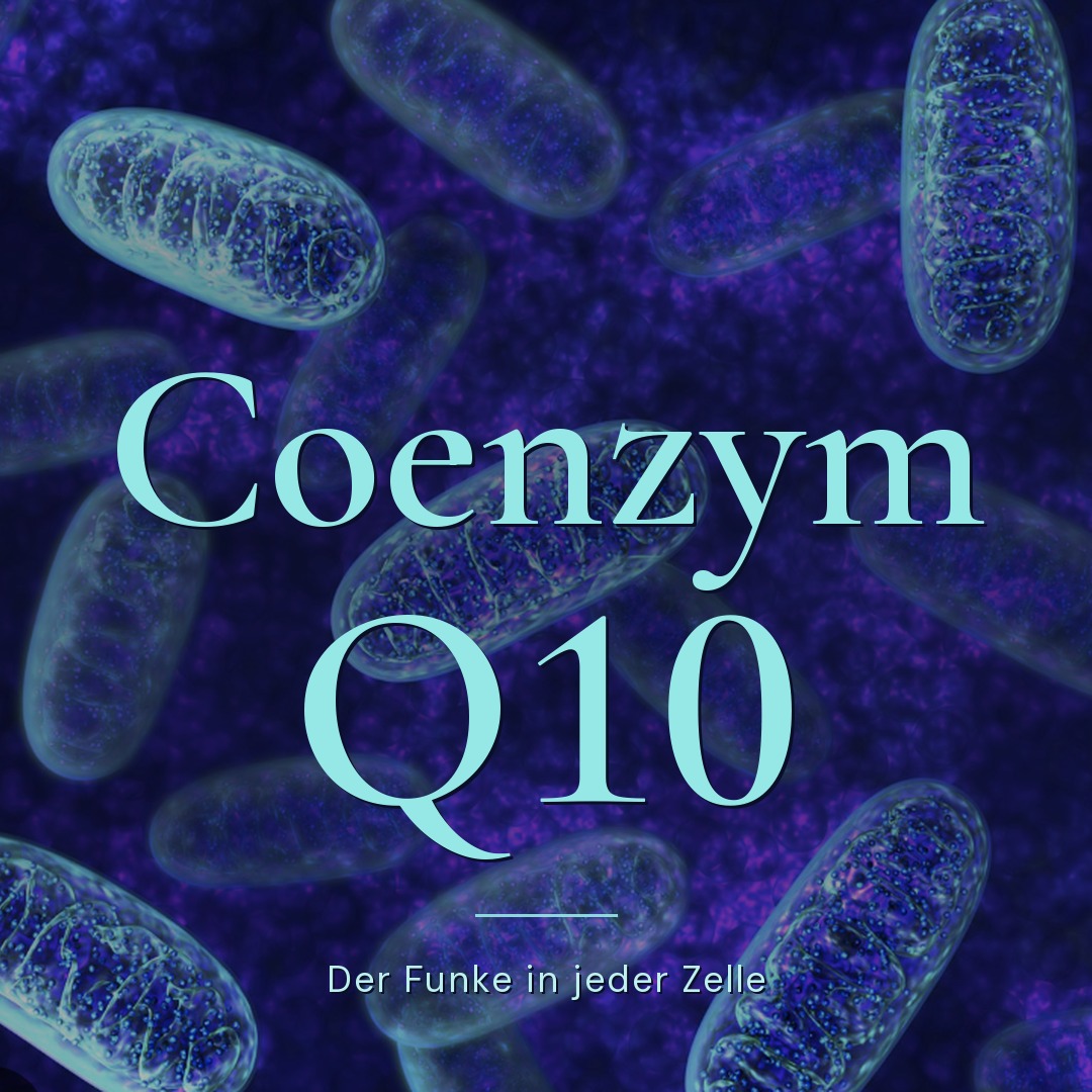 Coenzym Q10 – Dr. Pullig Blog